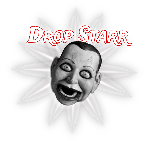 Drop Star Clothing 